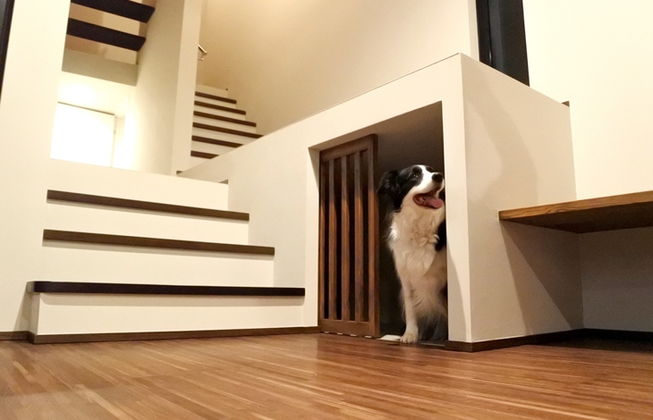 ペットのベッドスペースを快適にするリノベーション