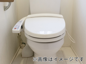 toilet1